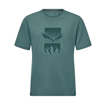 Футболка мужская Salewa EAGLE 3CIME M T-SHIRT Willow
