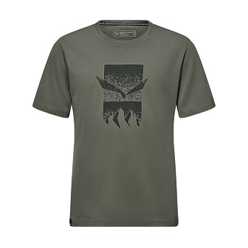 Футболка мужская Salewa EAGLE 3CIME M T-SHIRT Faded Green