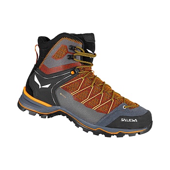 Ботинки Alpine Trekking MS MTN TRAINER LITE MID GTX Black/Black